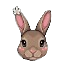 Hasen-Cursor